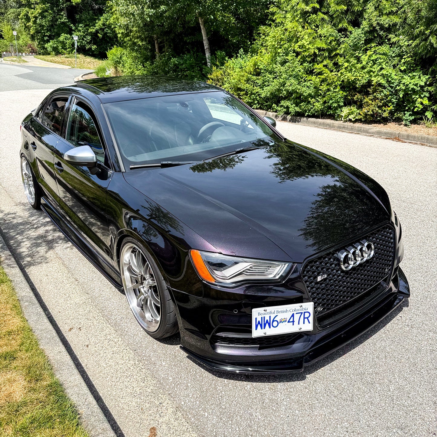 Paint correction + Ceramic coating